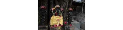 கோனியம்மன் - கோயம்புத்தூர் - தமிழ்நாடு